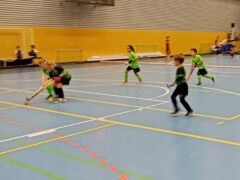 IMG_20250104_133014